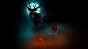 La estimacion de Bambi — foto 11
