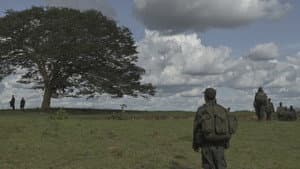 Horizonte — foto 5