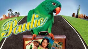 Paulie — foto 11