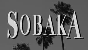 Sobaka — foto 1