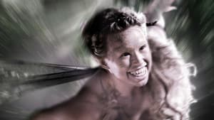 Fairycatcher — foto 1