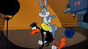 Person to Bunny — foto 2