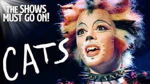 Cats — foto 2