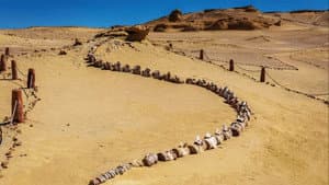 Egypt's Secret Valley of the Whales — foto 3