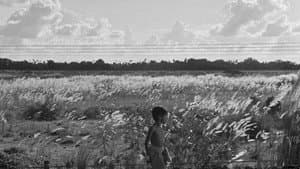 পথের পাঁচালী — foto 12