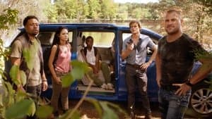Episodio 7