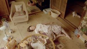 レンタネコ — foto 3