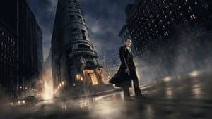 El Continental: Del mundo de John Wick — foto 9