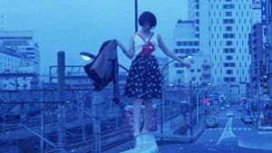 三月のライオン — foto 8