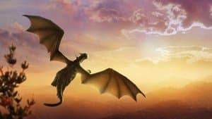 Mi amigo el dragón — foto 5