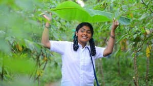 இலை — foto 1