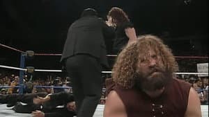 WWE WrestleFest '93 — foto 2