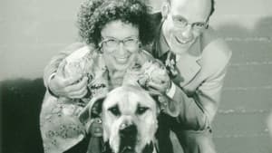 In the Doghouse — foto 1