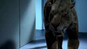Attack of the Sabretooth — foto 1
