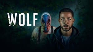 Wolf — foto 4