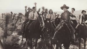 Woman Trap — foto 1