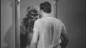 Bride of the Gorilla — foto 2
