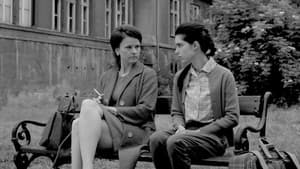 Yo, olga, historia de una asesina — foto 5