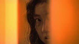 지느러미 — foto 2