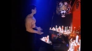 Fearless Tiger — foto 2