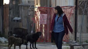 Episodio 3