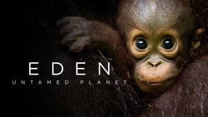 Eden: Untamed Planet — foto 5