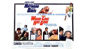 Where Love Has Gone — foto 2