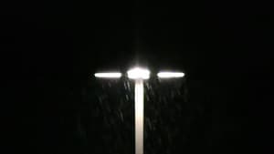 storm — foto 2