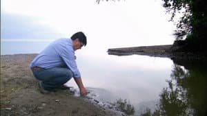 Episodio 7