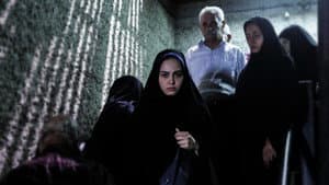 چهارشنبه ۱۹ اردیبهشت — foto 2