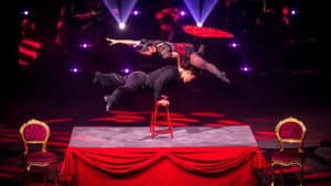 Le Cirque Phénix - 25 ans — foto 5