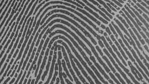 FBI Code 98 — foto 8