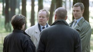 Beck - Okänd avsändare — foto 2