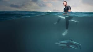 Playa de tiburones con Chris Hemsworth — foto 4