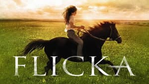 Flicka — foto 7