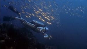 Jacques Cousteau: Rediscover the World | New Zealand, Tahiti, Cuba, & Cape Horn — foto 3