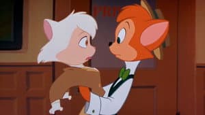 Los gatos no bailan — foto 7