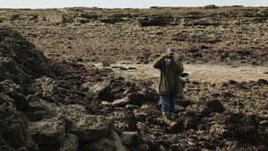 Oléron : La vie continue — foto 3