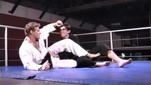 Kickboxing: Getting Below the Belt — foto 1