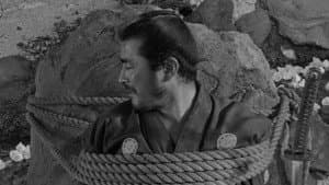 Sanjuro — foto 12