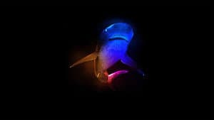 Mothersharker — foto 1