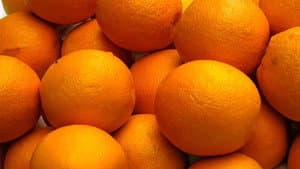 The Orange Man — foto 3