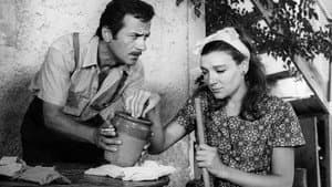 Οικογένεια Χωραφά — foto 1