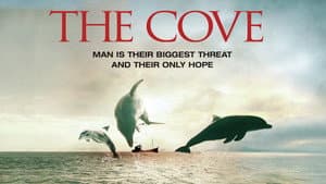 The Cove — foto 3