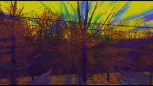 Joose Psychedelia Test — foto 7