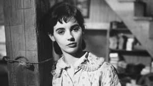 El diario de Ana Frank — foto 3