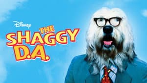 El Perro Fiscal — foto 6