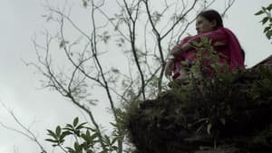 पानीफोटो — foto 4