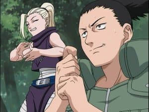 Una nueva formación. Ino-Shika-Cho*
