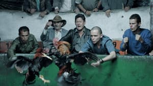 Asunto de gallos — foto 1